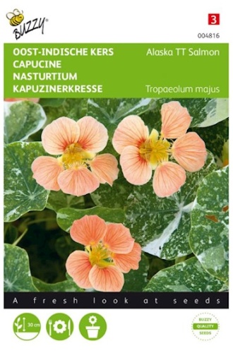 Kapucínka ružová Tropaeolum majus Alaska Salmon cca. 2,5 g